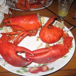 lobster5